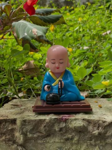Solar Buddha Blue (Without Hair)