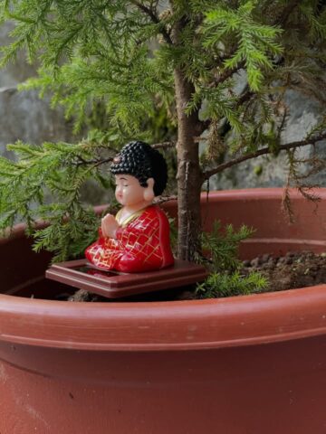 Solar Buddha Small (7cm)